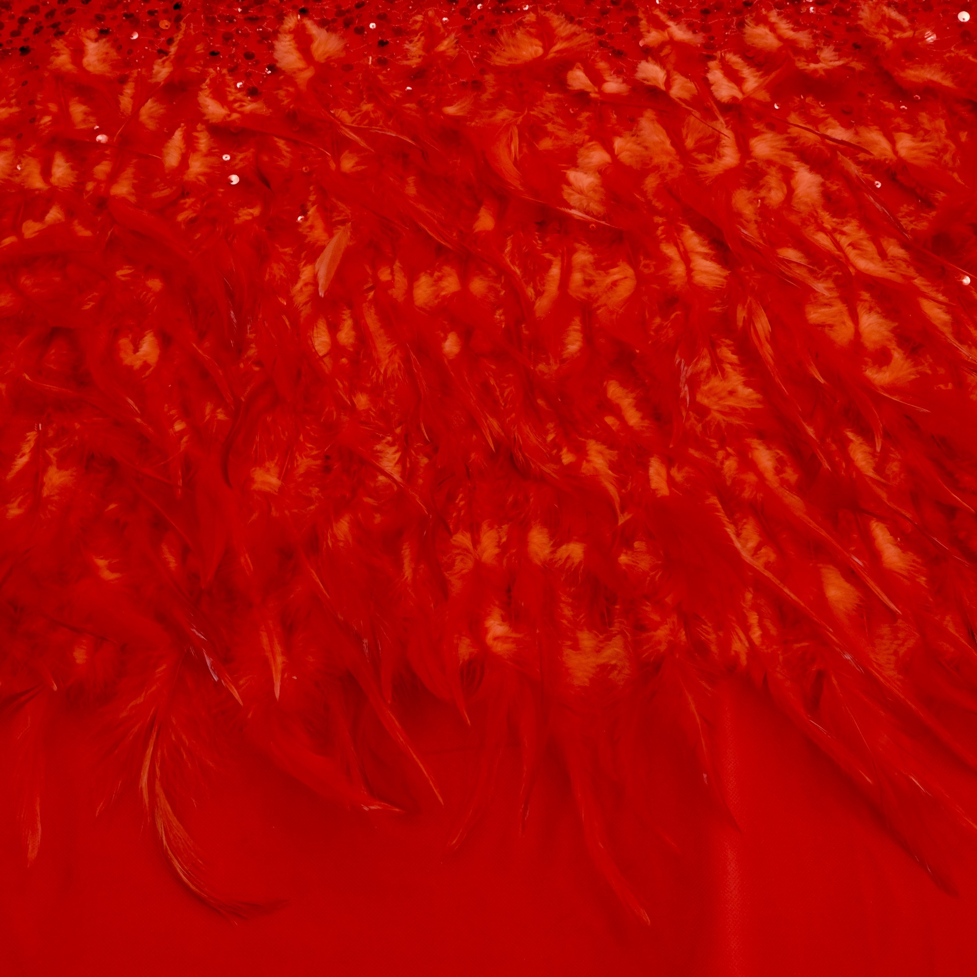 0c79937c 51e9 44ef 9372 9eb88f123496 1 201 a.jpeg
