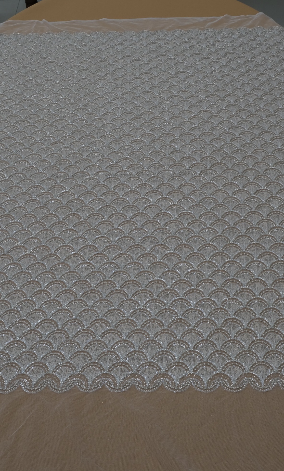 10072577 130c 40a3 9128 b0082048f0cc 1 201 a.jpeg