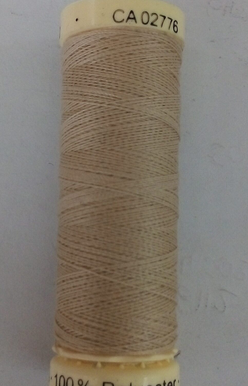 1736496540439.jpg